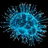 An X-ray of brain representing AI-Human Hybrid